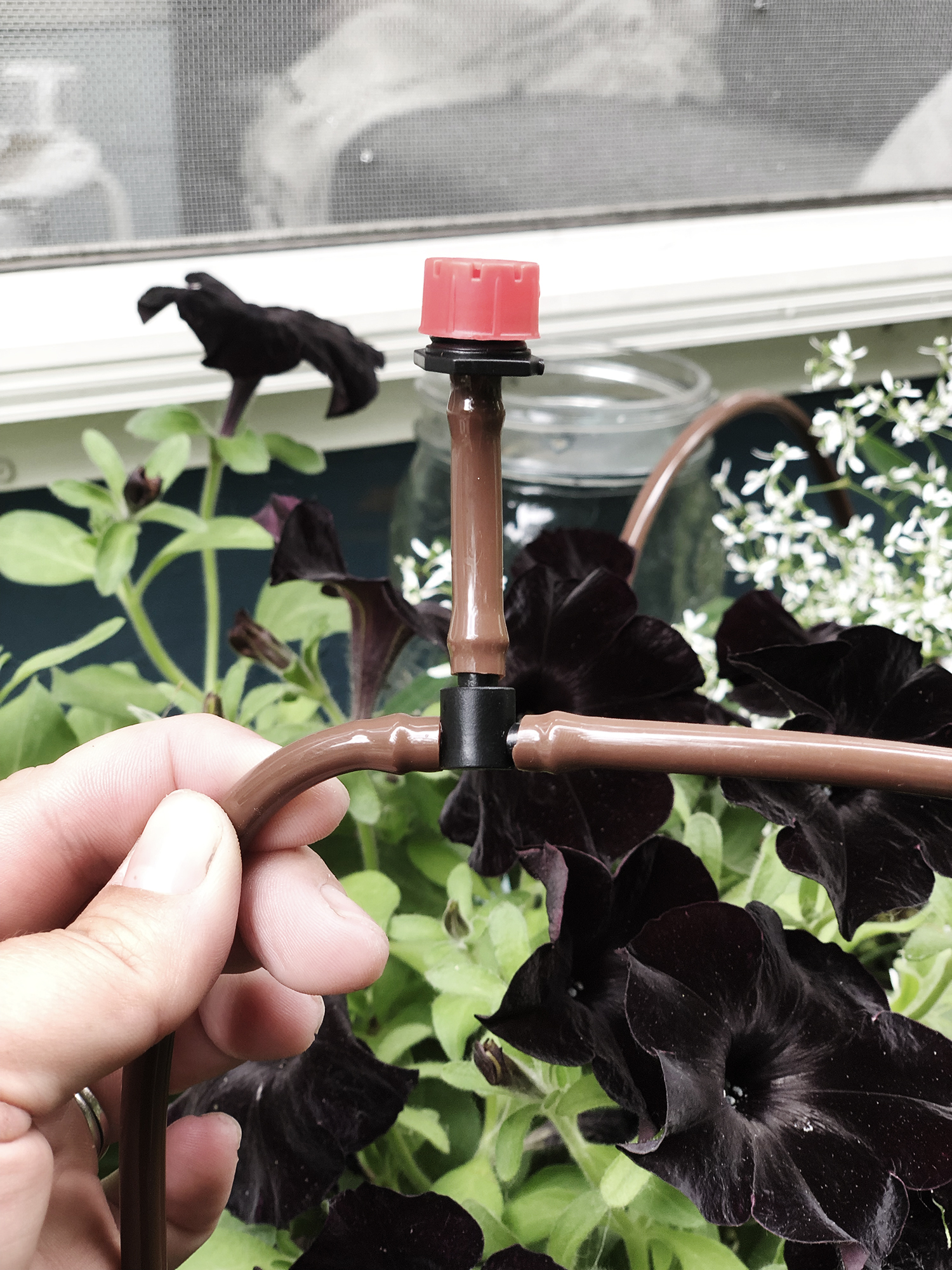 No Touch Smart Watering System for your window boxes, planters and lawn | Deuce Cities Henhouse
