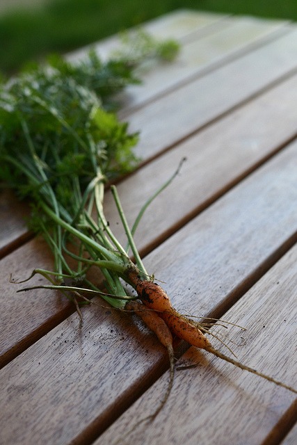 Make A Carrot Cake!