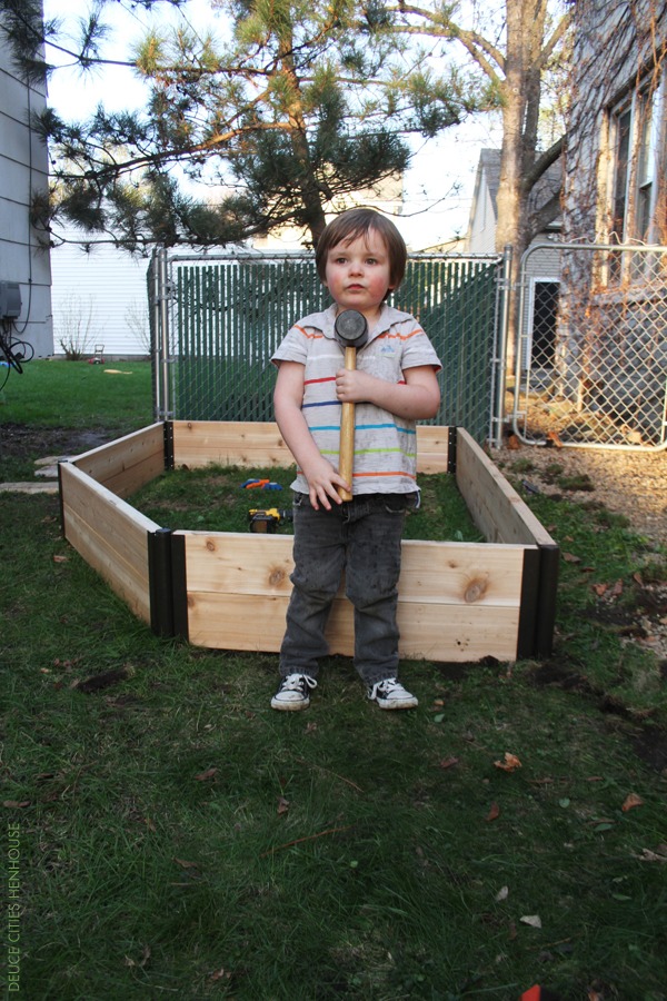 Building A Raised Bed Vegetable Garden