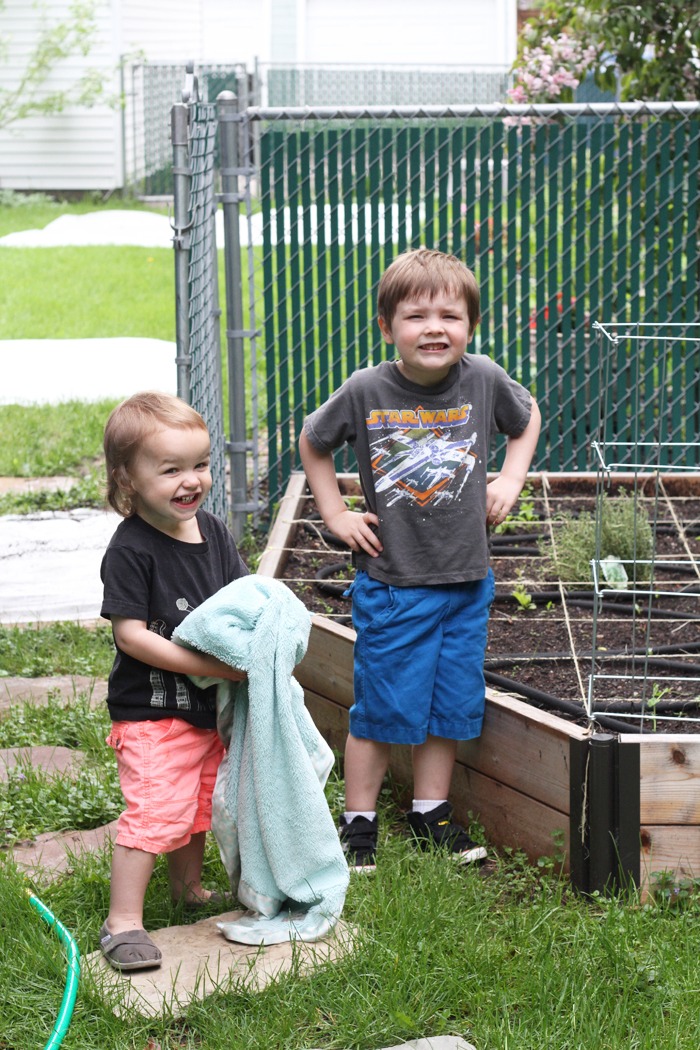 Our Veggie Garden