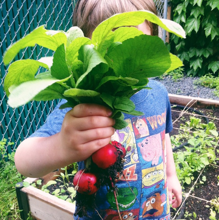 Our Garden is Growing Up