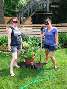 Gardening Basics : Dividing Perennials