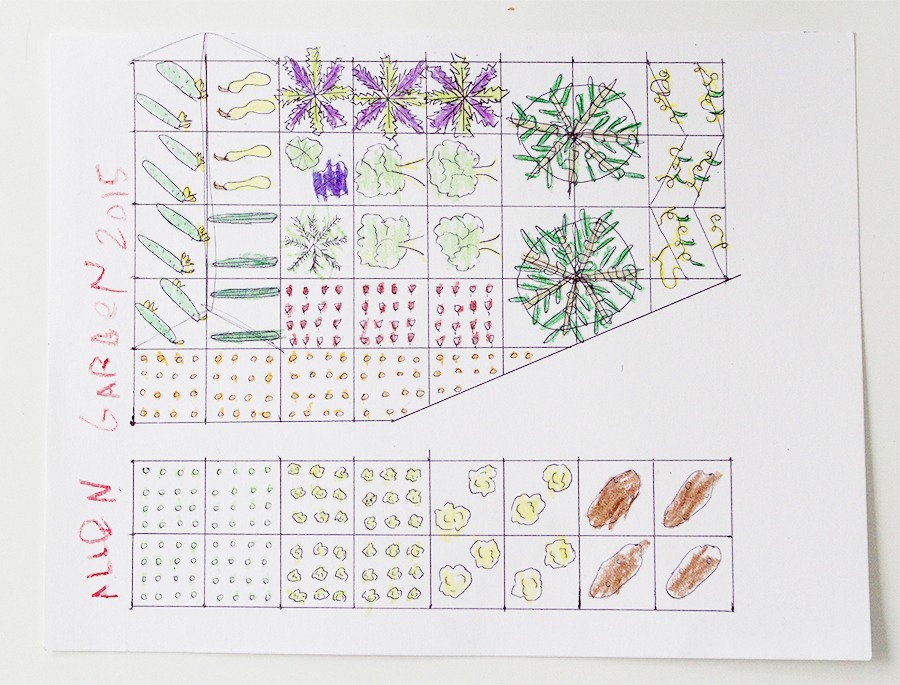 Vegetable Garden Planning