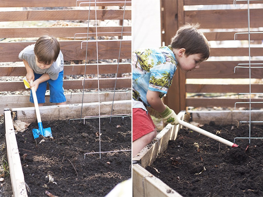 Getting Children involved in Gardening