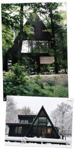 Cabin Inspiration